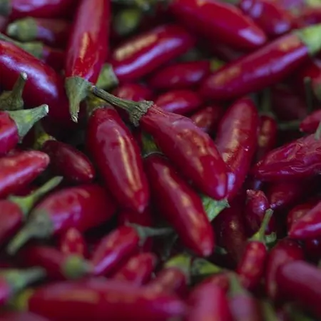 The Salt House Dom wakacyjny *