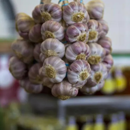 Dom wakacyjny The Salt House