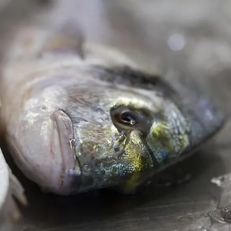 Dom wakacyjny The Salt House Olhão