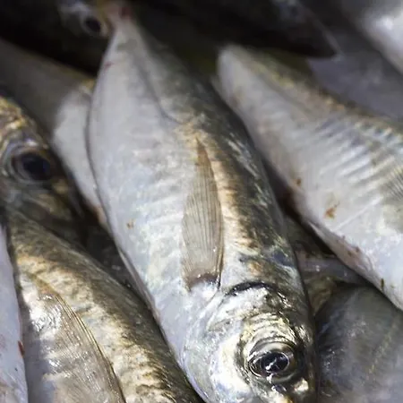 Dom wakacyjny The Salt House